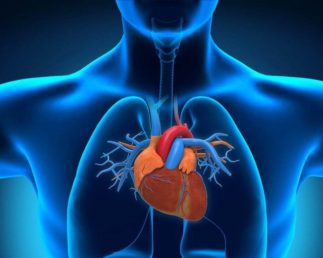 以色列科学家使用3D打印微型活体心脏