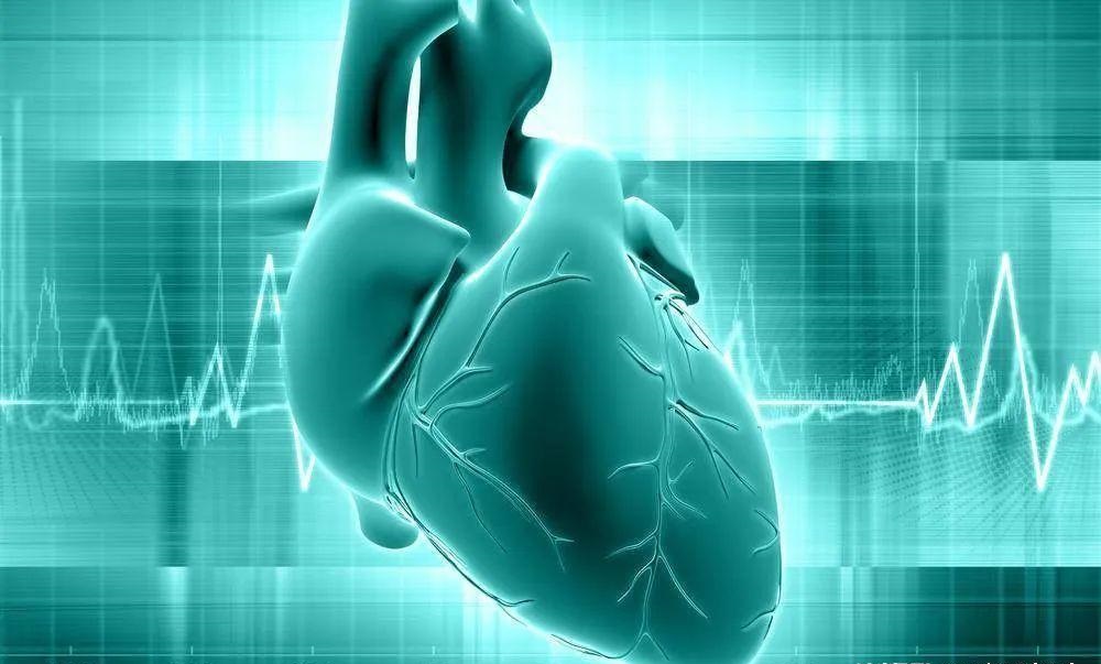 3D打印“深入人心” 攻克心脏病研究难题已有突破